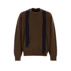 Sacai Men Brown Wool Sweater